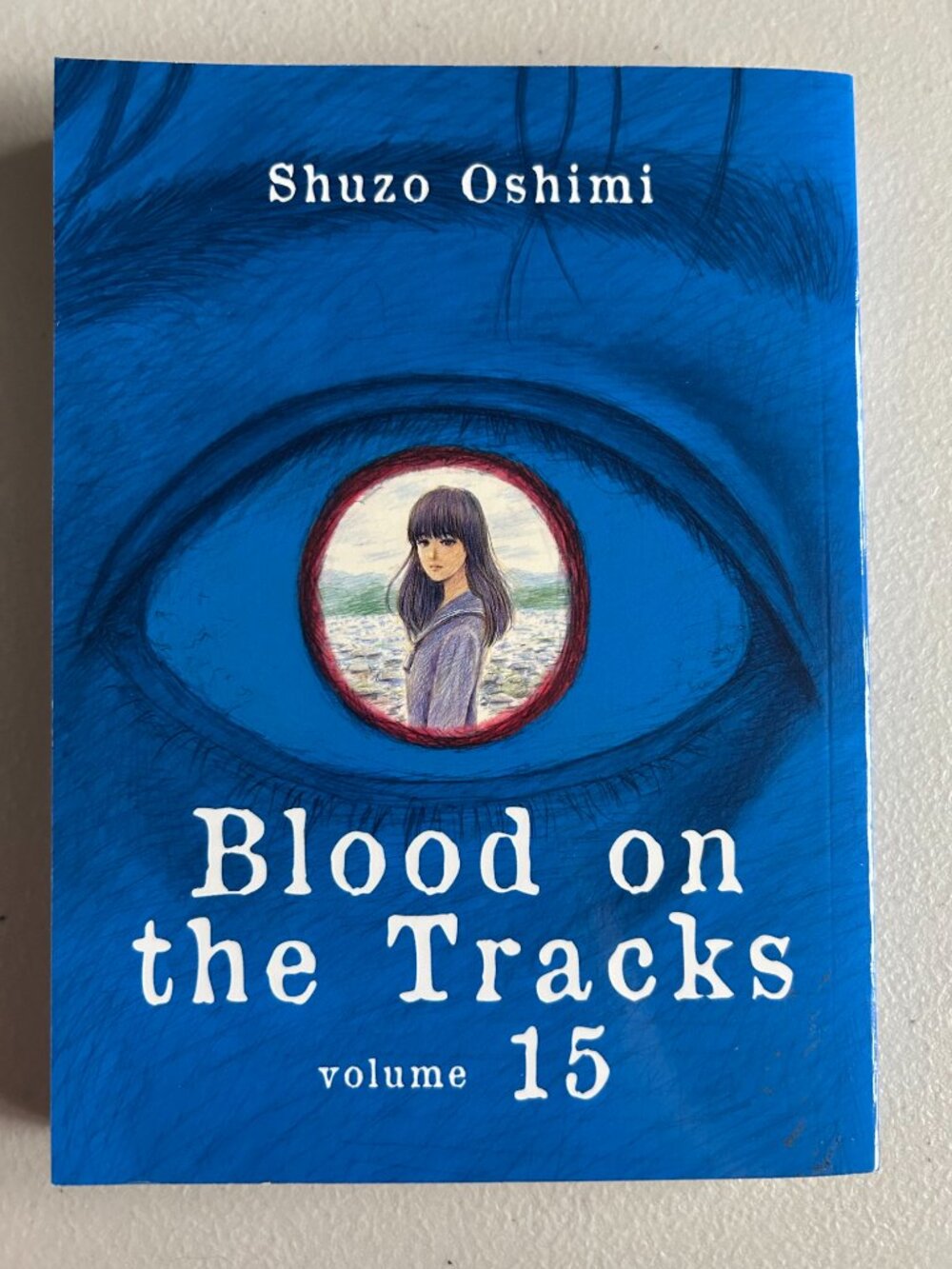 3 for $20 📚 | Blood on the Tracks Vol 15 | Manga